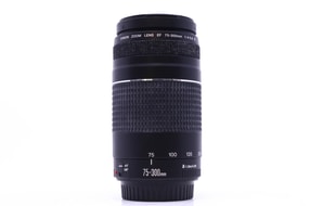 Canon EF 75-300mm f/4-5.6 III