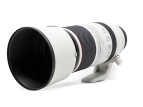 Canon RF 100-500mm f/4.5-7.1L IS USM