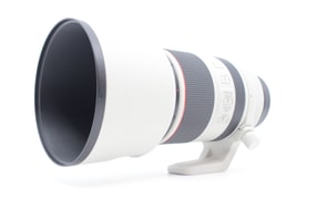 Canon RF 70-200mm f/2.8 L IS USM