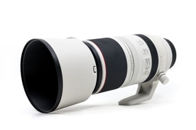 Canon RF 100-500mm f/4.5-7.1L IS USM