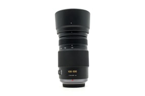 Panasonic Lumix G Vario 100-300mm f/4-5.6 Mega OIS