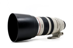 Canon EF 100-400mm f/4.5-5.6 L IS USM