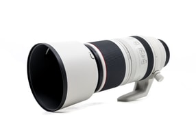 Canon RF 100-500mm f/4.5-7.1L IS USM