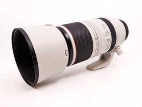 Canon RF 100-500mm f/4.5-7.1L IS USM