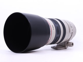 Canon EF 100-400mm f/4.5-5.6 L IS USM