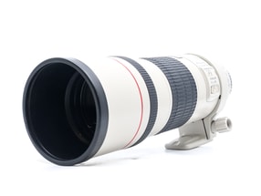 Canon EF 300mm f/4 L IS USM