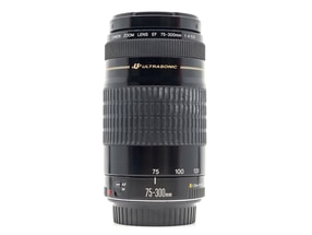 Canon EF 75-300mm f/4-5.6