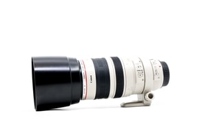 Canon EF 100-400 mm f/4.5-5.6 L IS USM