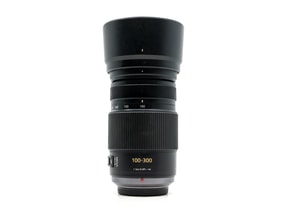 Panasonic Lumix G Vario 100-300mm f/4-5.6 Mega OIS
