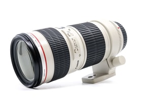 Canon EF 300mm f/4 L IS USM