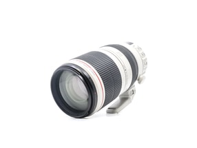 Canon EF 100-400mm f/4.5-5.6 L IS II USM