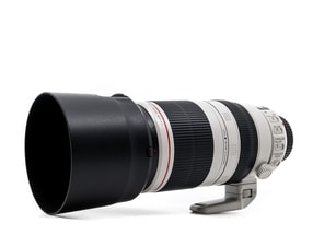 Canon EF 100-400mm f/4.5-5.6 L IS II USM