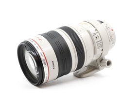 Canon EF 100-400mm f/4.5-5.6 L IS USM
