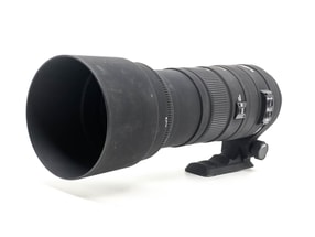 Sigma 150-500mm f/5-6.3 APO DG OS HSM - Attacco Nikon