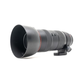 Canon EF 80-200mm f/2.8 L