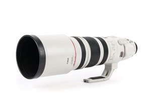 Canon EF 200-400mm f/4 L IS USM with 1.4x Extender