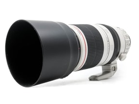 Canon EF 100-400mm f/4.5-5.6 L IS II USM