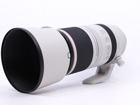 Canon RF 100-500mm f/4.5-7.1L IS USM