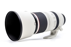 Canon RF 100-500mm f/4.5-7.1L IS USM