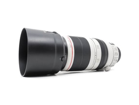 Canon EF 100-400mm f/4.5-5.6 L IS II USM