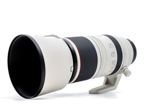 Canon RF 100-500mm f/4.5-7.1L IS USM