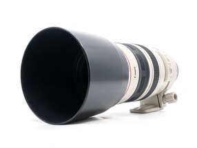 Canon EF 100-400mm f/4.5-5.6 L IS USM
