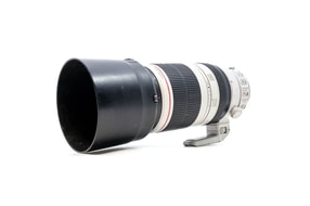 Canon EF 100-400mm f/4.5-5.6 L IS II USM