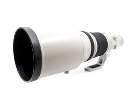 Canon EF 500mm f/4 L IS II USM