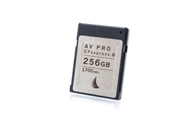 Angelbird 256 GB AV Pro CFexpress (Type B)